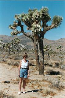 Joshua Tree National Park
