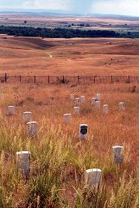 Big Horn National Monument